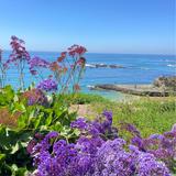 Laguna Beach