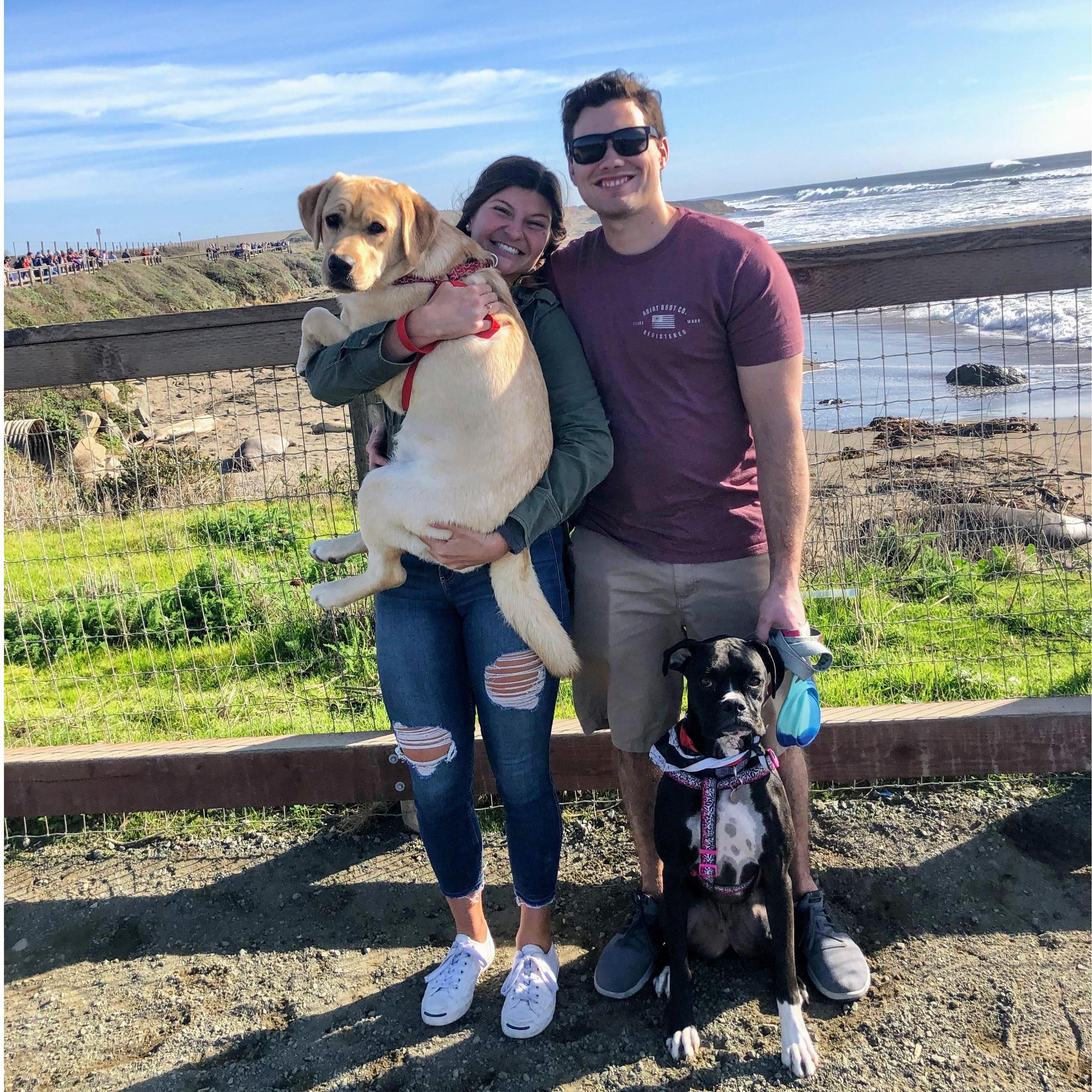 Wednesday, January 1, 2020
Our first trip as an official couple! Here is our little family - Paso Robles, CA