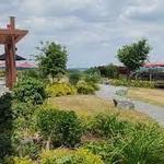 Anyela's Vineyards
