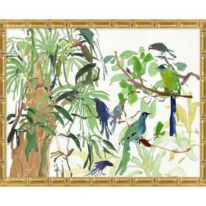 Rainforest Birds