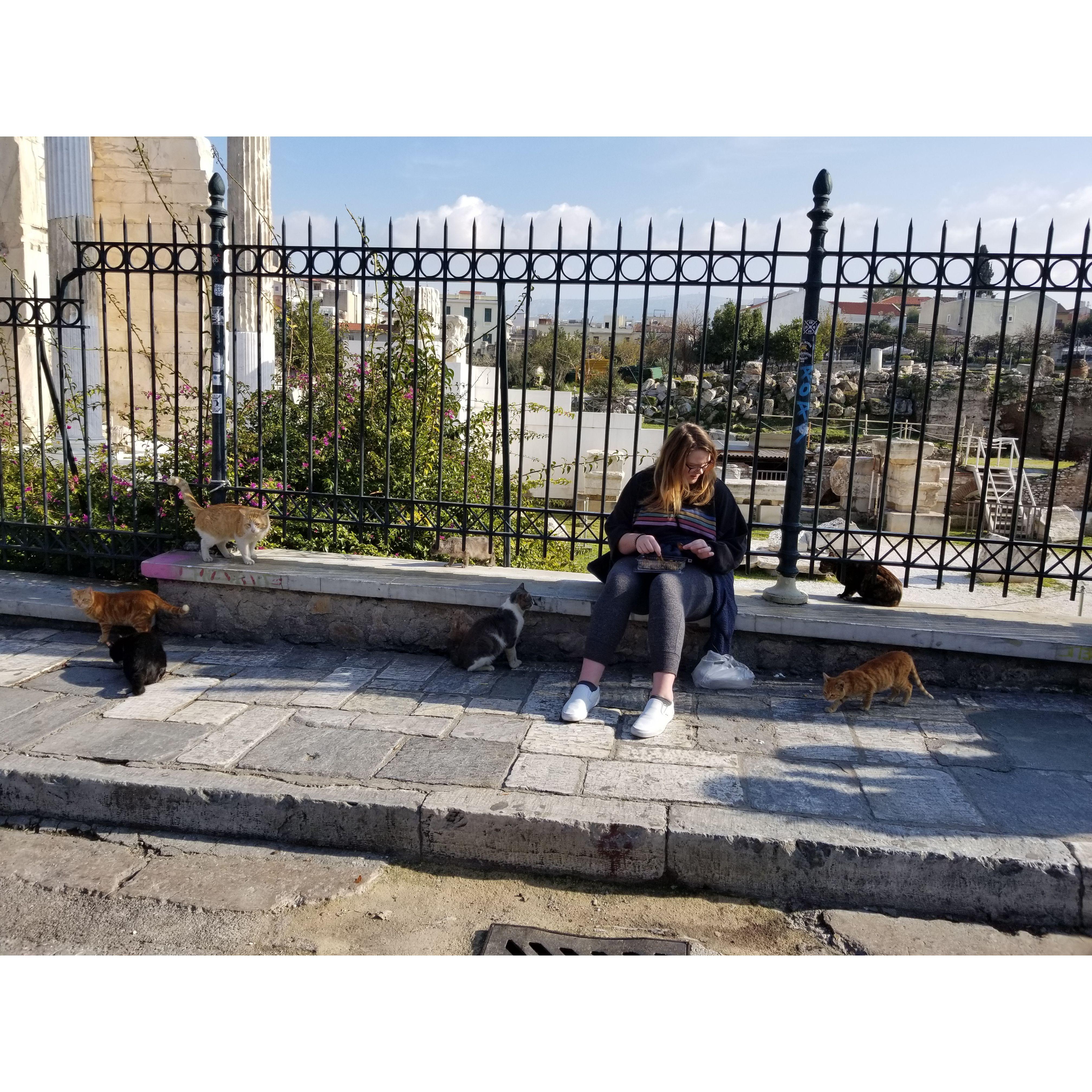 2020 - "Over here... you'll see the Greek ruins. And of course here, you'll see Teresa ignoring them to feed the stray cats" - John on all the photos we got in Greece.