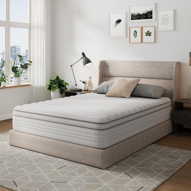 Novilla King Size Mattress, 14 Inch King Mattresses in a Box with Smarts™ Pocket Coil for Pressure Relief, Medium Plush Foam and Spring Hybrid Colchones with CertiPUR-US Certified