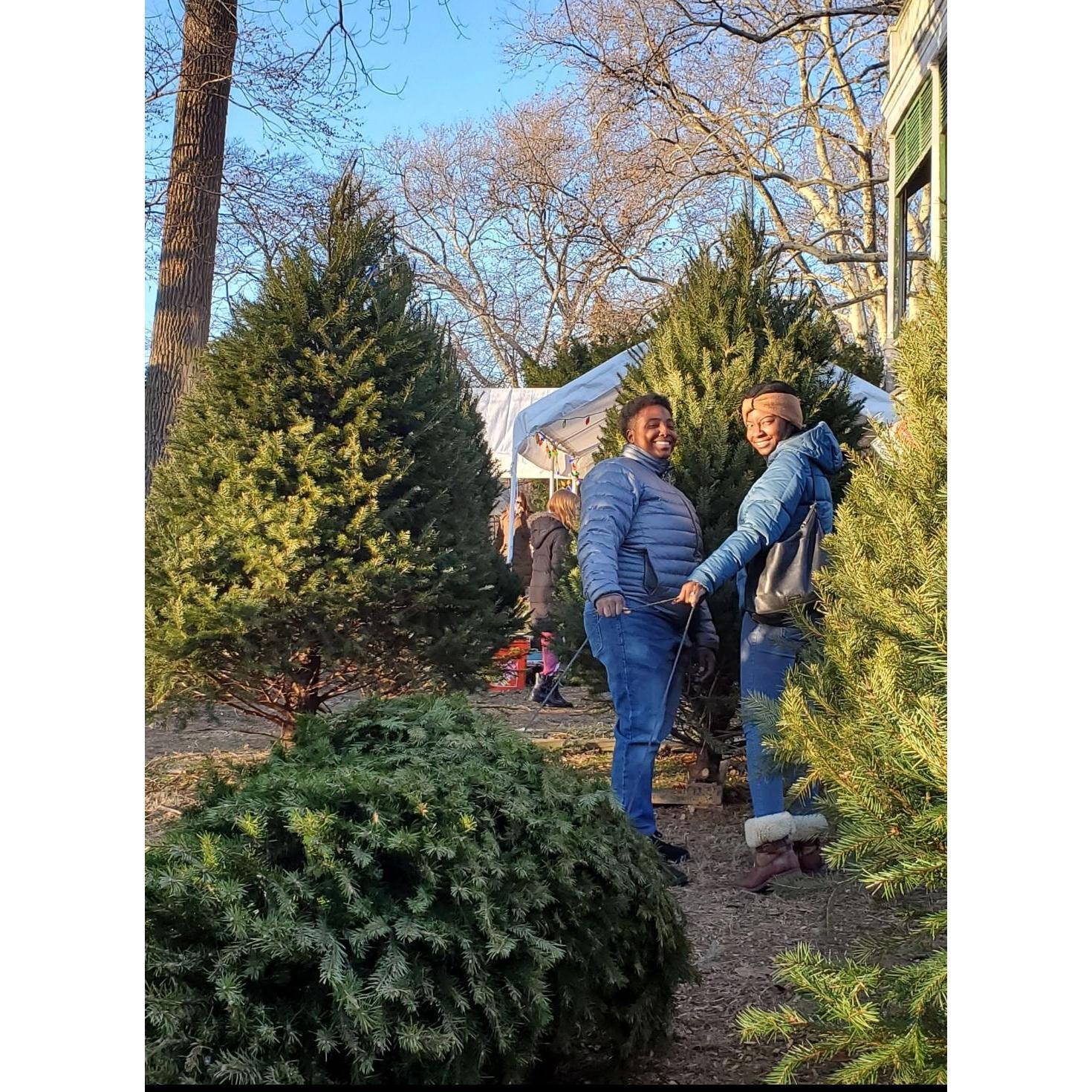 Picking our first Christmas tree.