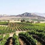 Santa Ynez Valley