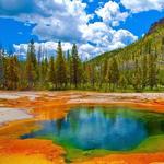 Yellowstone National Park