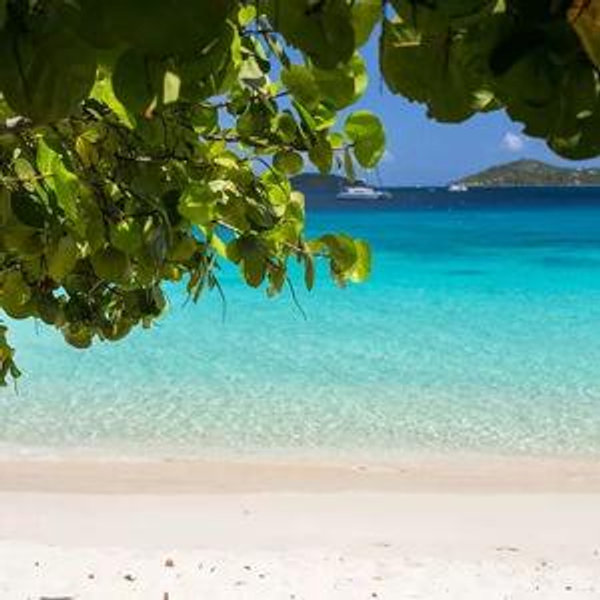 Our Honeymoon- Credit Card (fees)