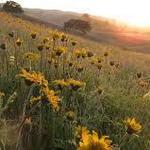 Livermore Area Recreation and Park District