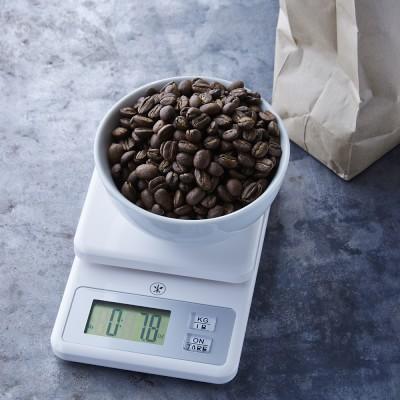 Williams Sonoma Open Kitchen Digital Scale