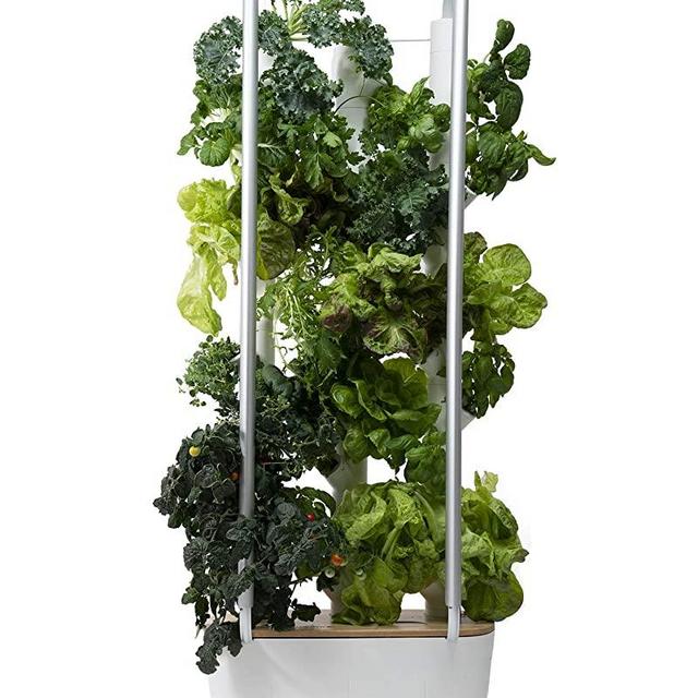 Gardyn Home Indoor Smart Garden - WiFi Integrated Vertical Gardening Kit with AI-Based App - Best Invention of 2020 by Time Magazine - 30 Plant Capacity Automatic Hydroponic Growing System