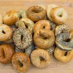 The Cleveland Bagel Company