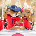 The University of Arizona