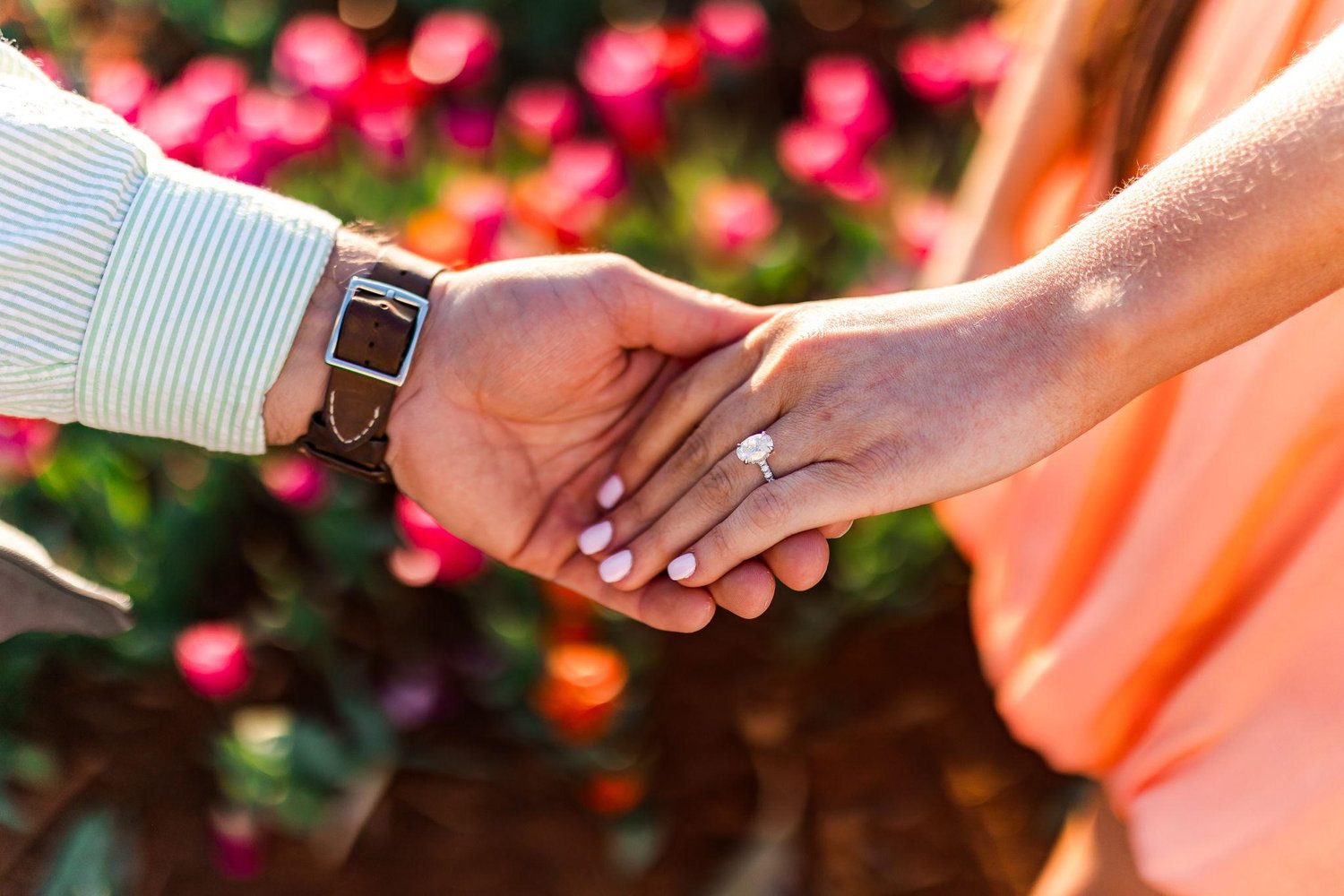 The Wedding Website of hannah haynes and daniel carmichael IV