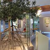 Nature exhibit hall