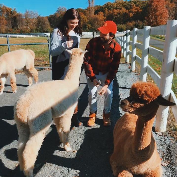 2018 - First Alpaca Farm