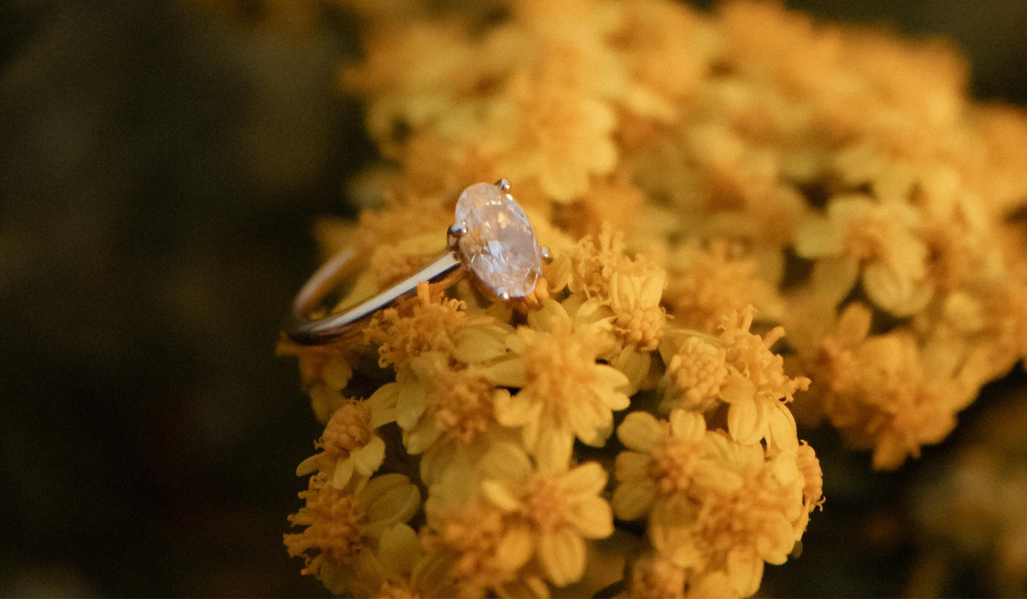 The Wedding Website of Alyssa Cunningham and Quincy Jones
