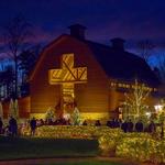 Christmas at the library