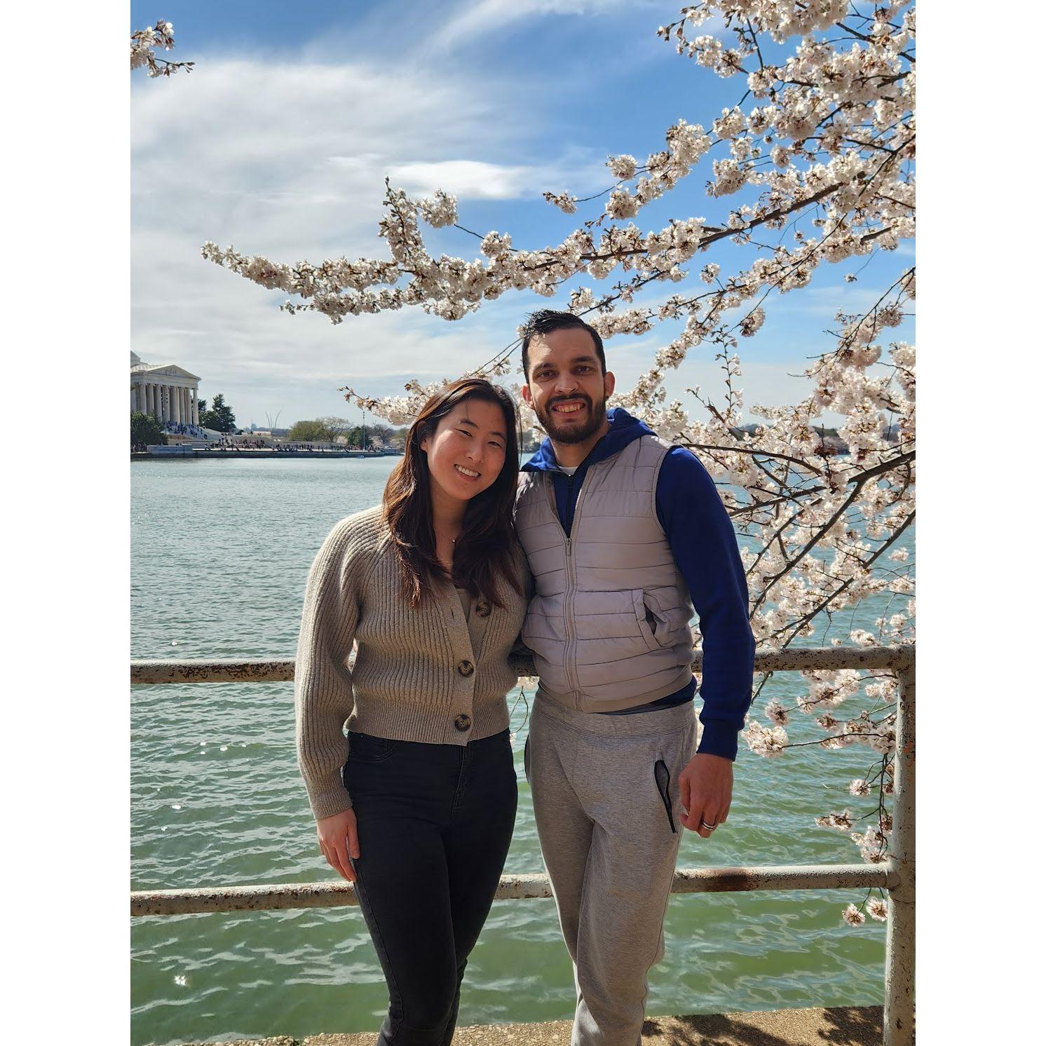 First cherry blossom festival and picnic together.