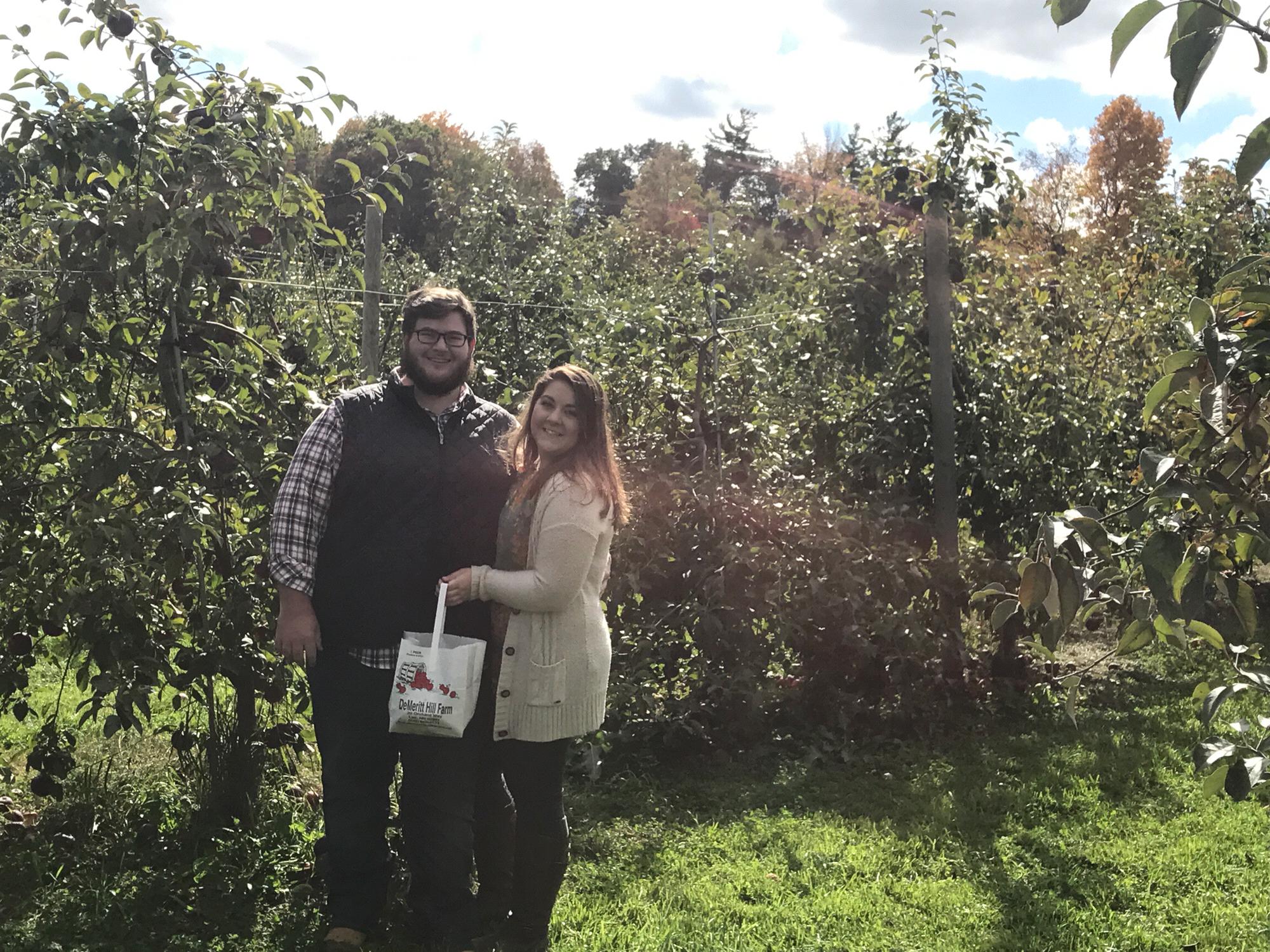 Apple picking year 3