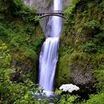 Multnomah Falls