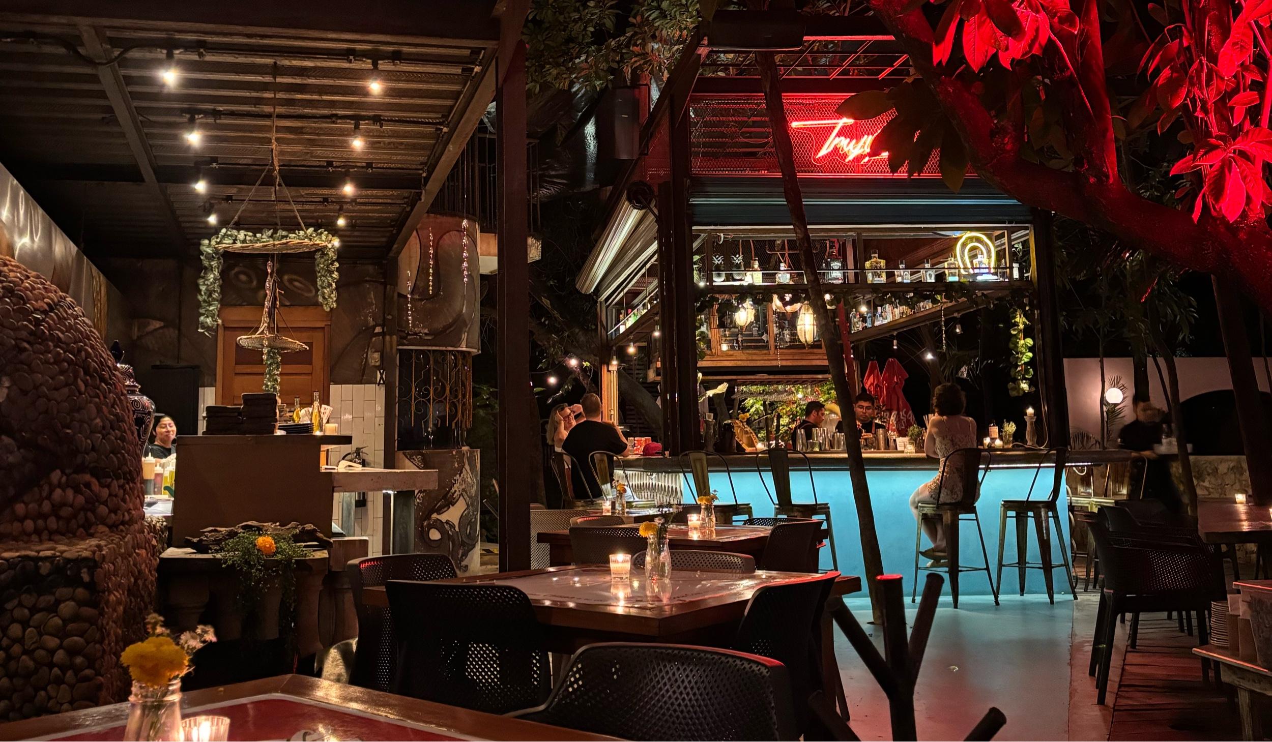 The Wedding Website of Lina Yazbak and Christian McDaniel