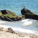 Falmouth Heights Beach