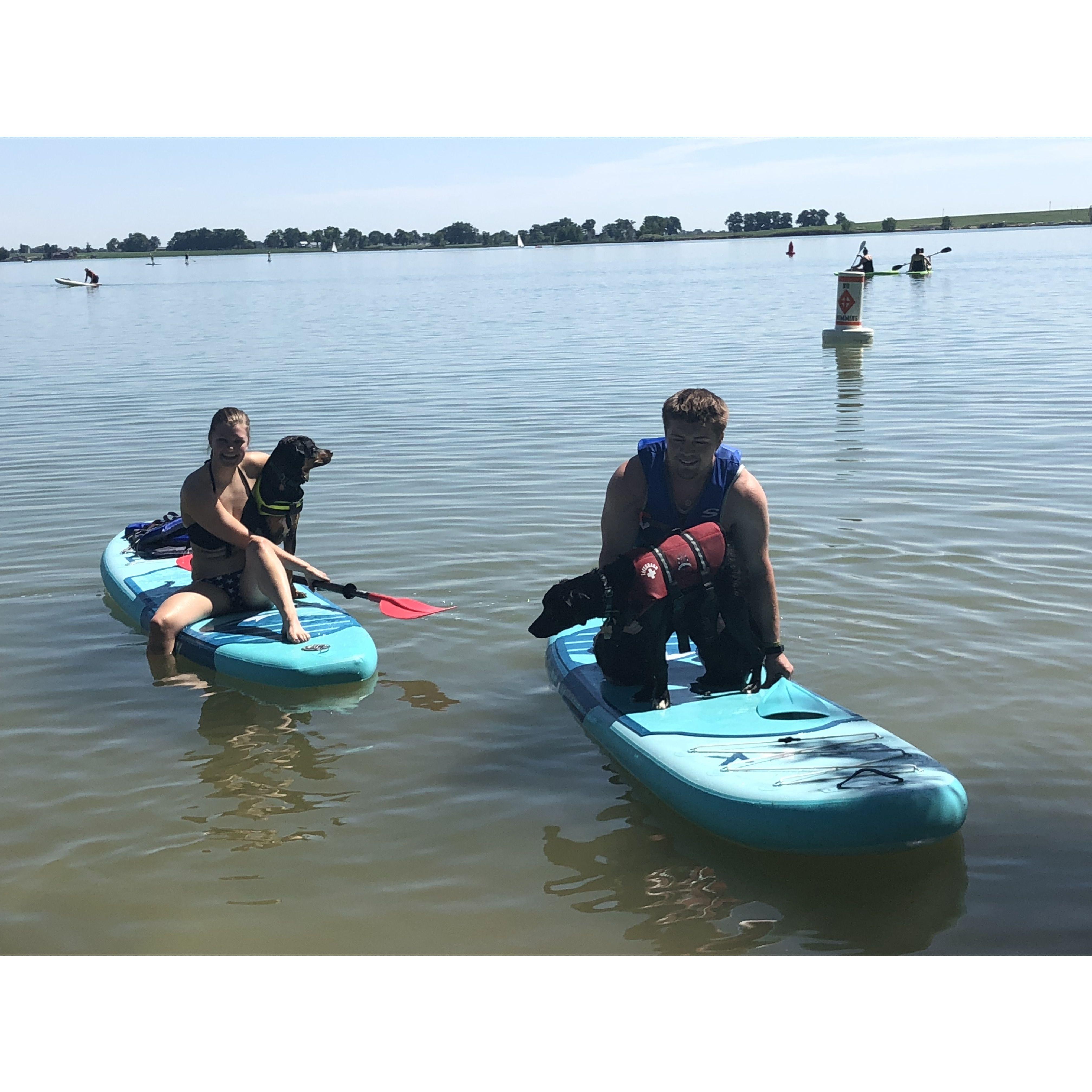 Us trying to paddle board while the dogs try to jump off