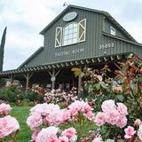 Ponte Winery
