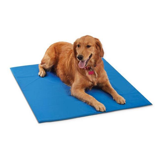 Pawslife™ X-Large Cool Pad in Blue