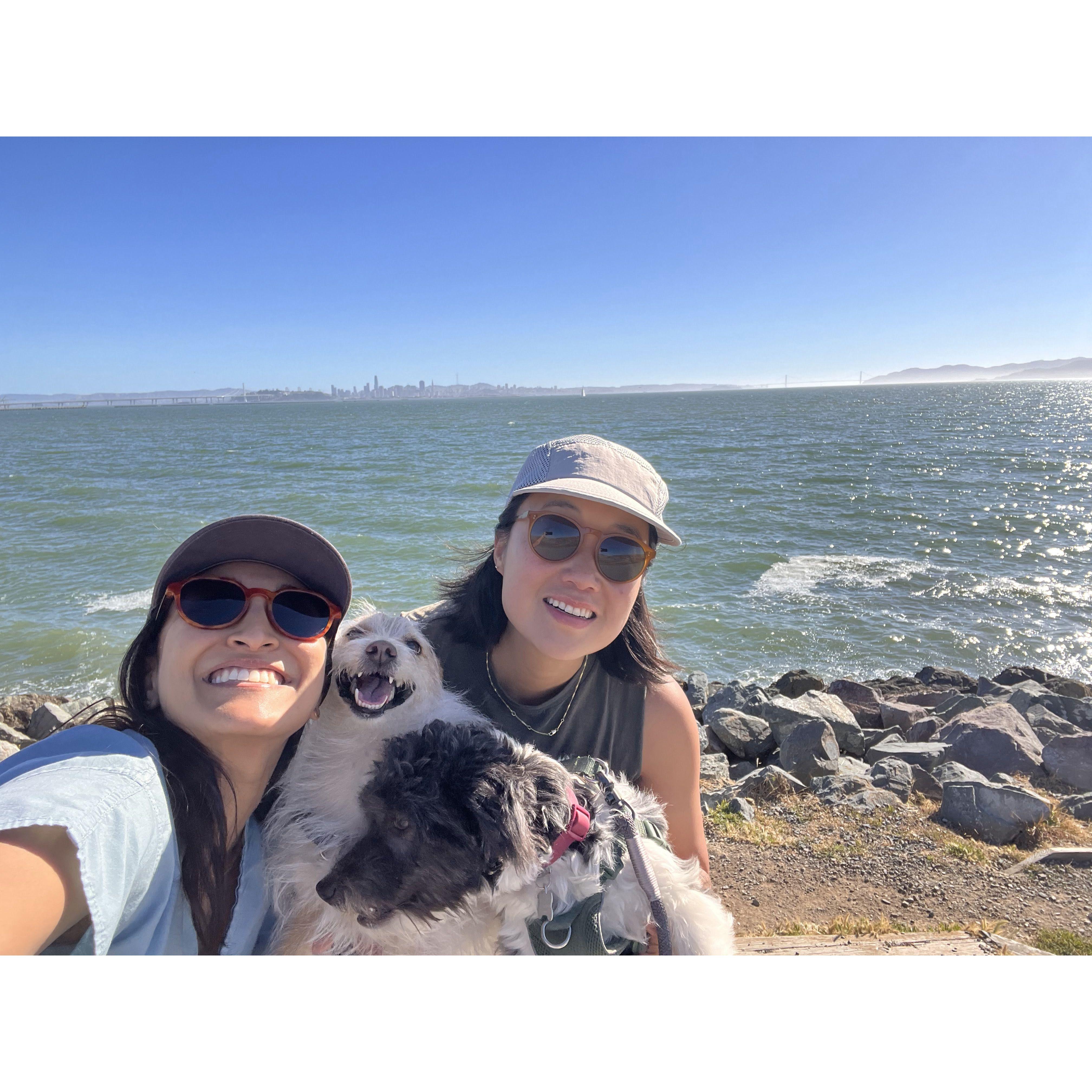 After work family walks