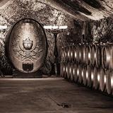 Buena Vista Winery