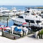 Tilghman Island Marina & Rentals