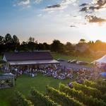 The Vineyard & Brewery at Hershey