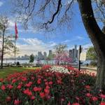 Windsor Waterfront | Paseo marítimo de Windsor