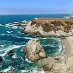 Bodega Head