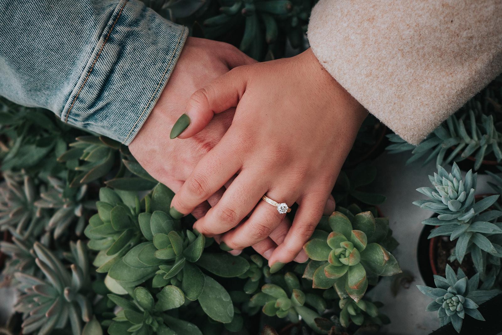 The Wedding Website of Hanna Gaffney and Nick Markley