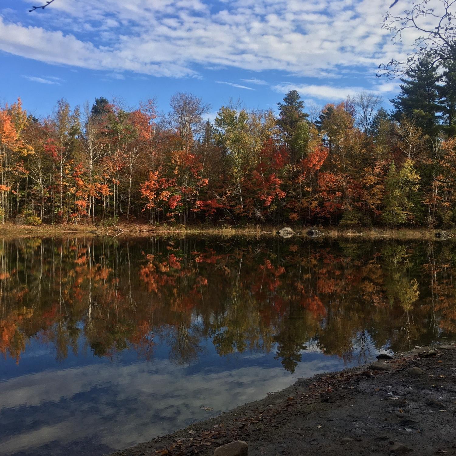 We love coming here in every season, but especially fall