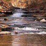 Tanyard Creek Waterfall Trail