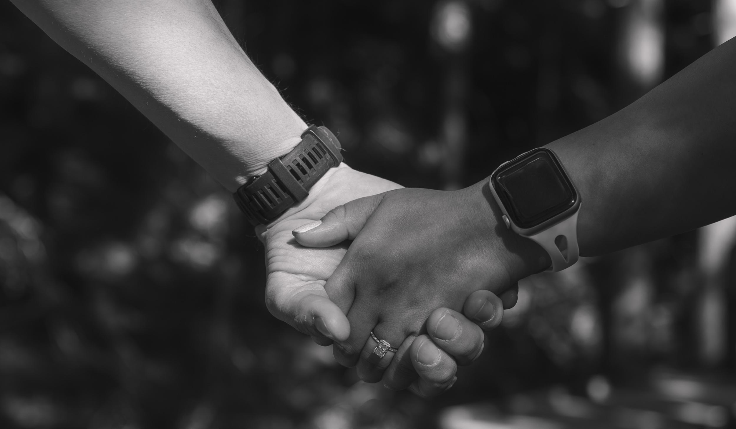 Hero Slideshow Image 3