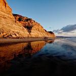 Torrey Pines State Reserve