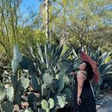 Descanso Gardens