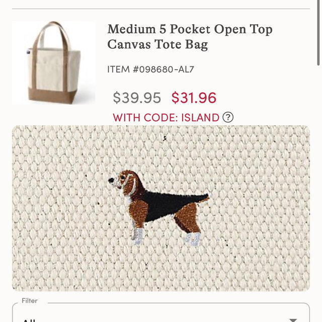 Medium 5 Pocket Open Top Canvas Tote Bag