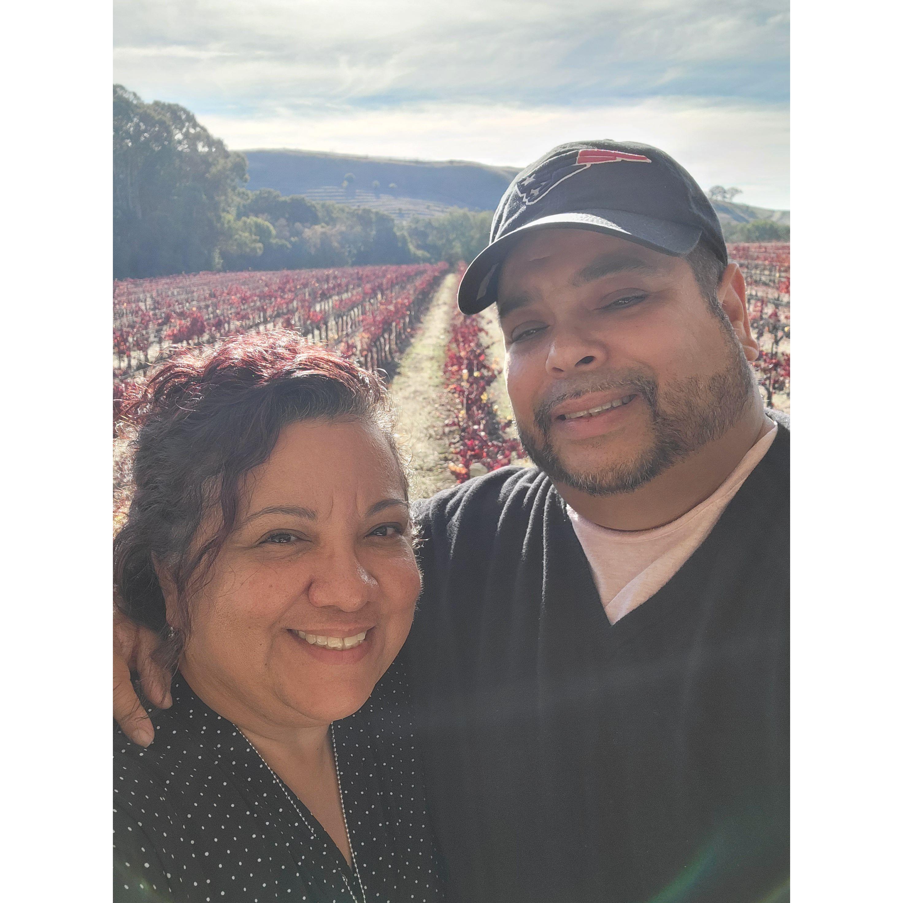 Napa and Sonoma wine tour. Look at them Vines!!