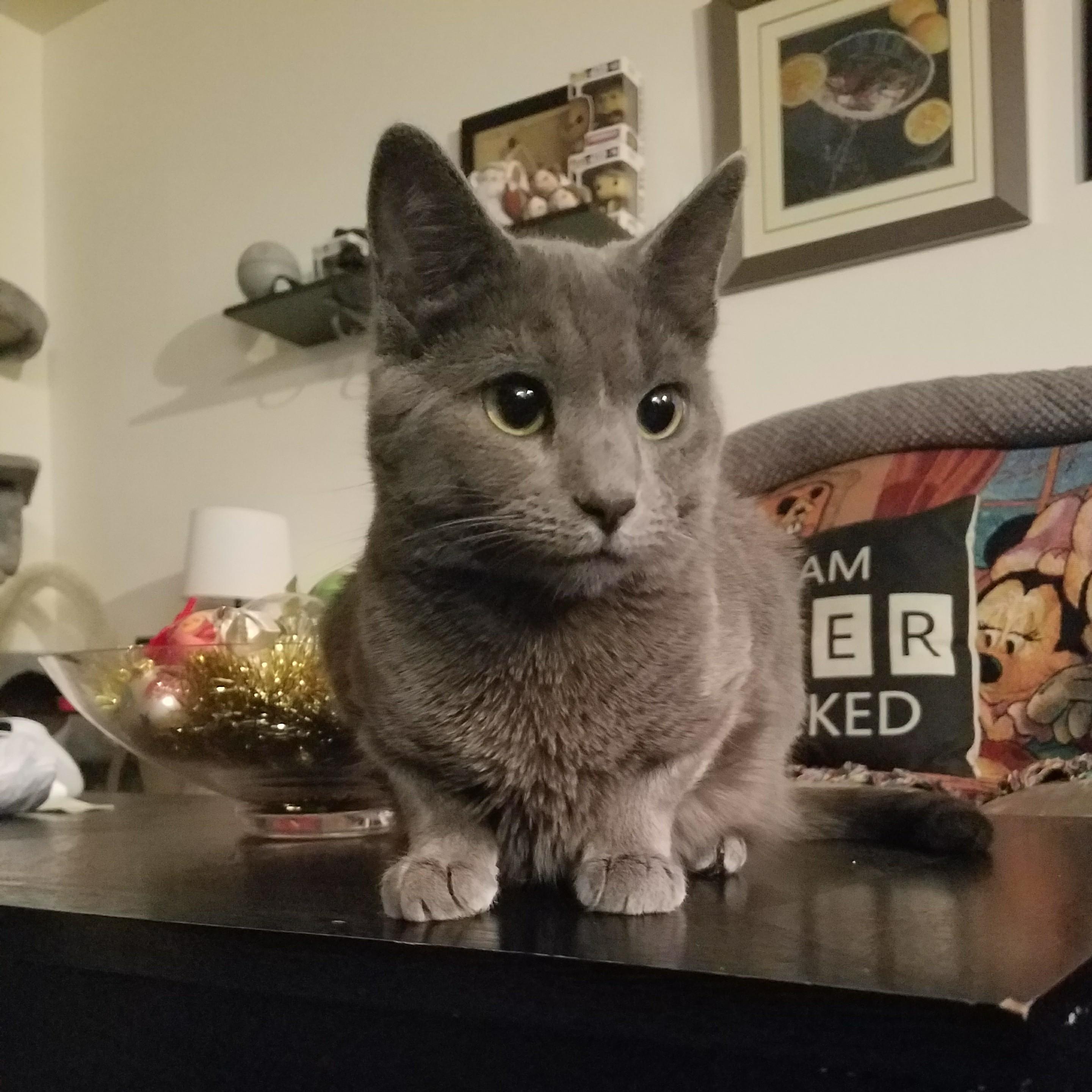Baby Emma