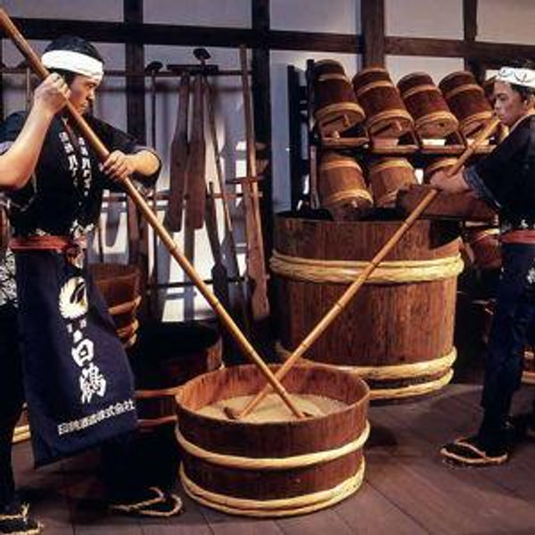 Hakutsuru Sake Brewery Tour