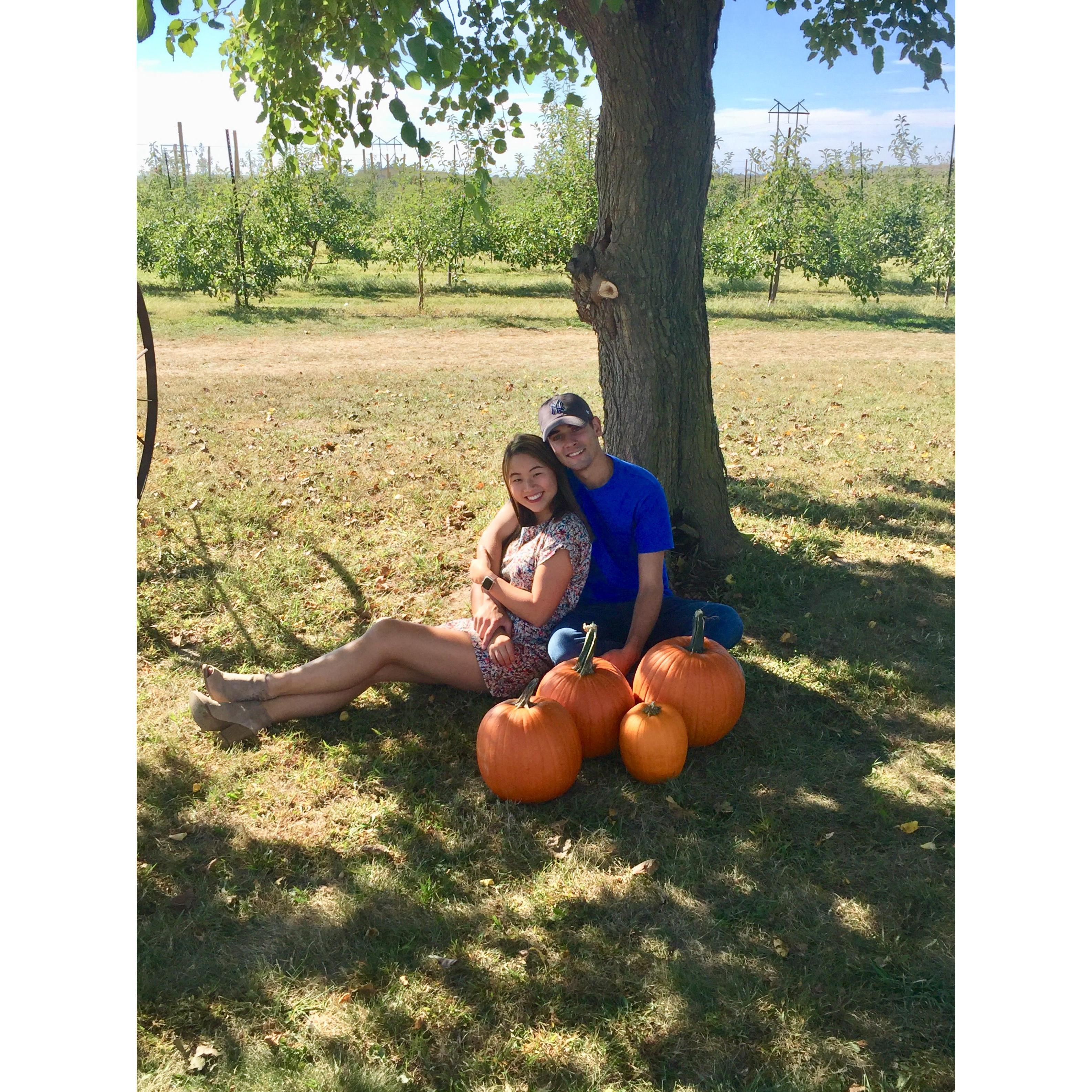 Pumpkin picking season!