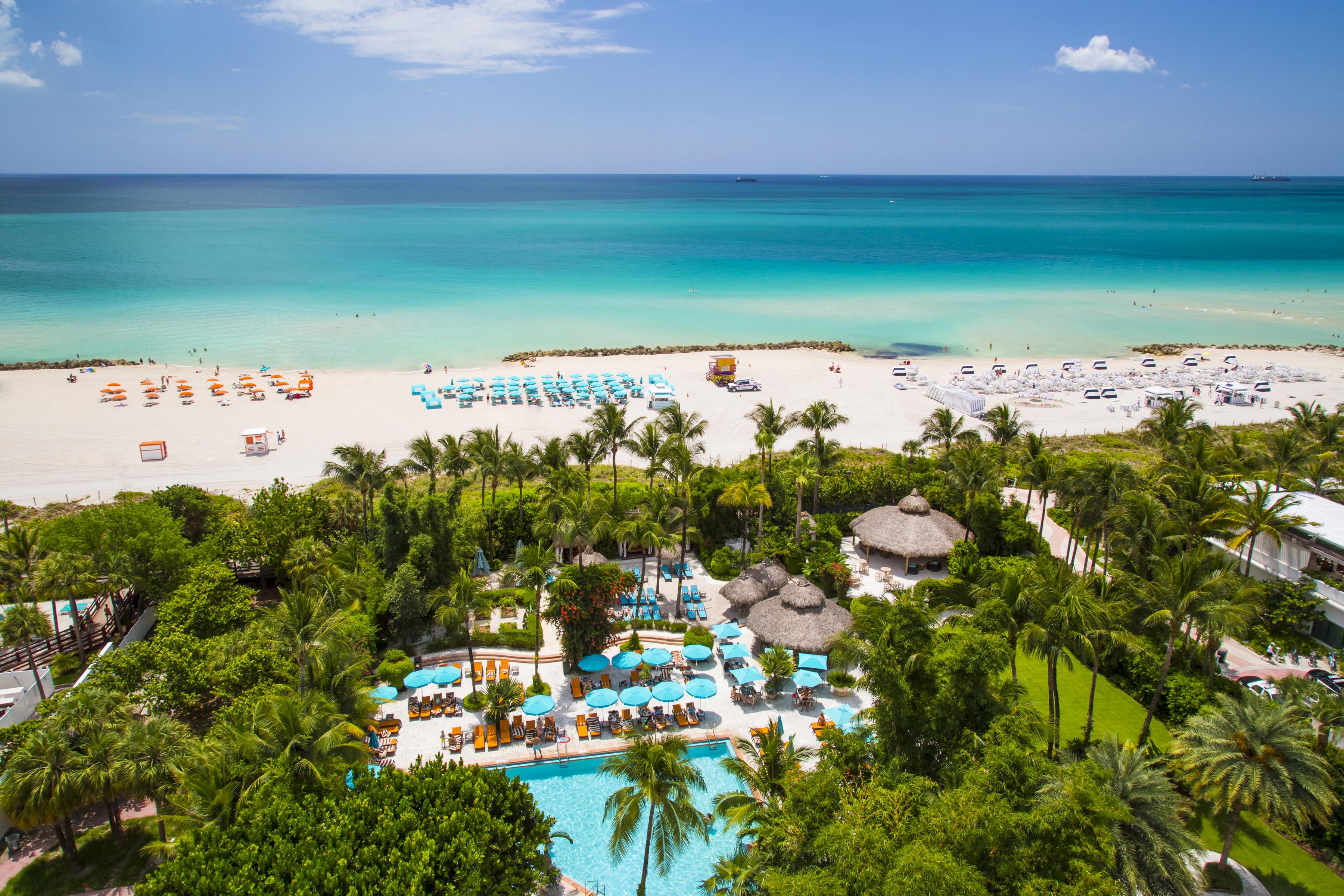 The Wedding Website of Maya Toler and Mike DiNatale