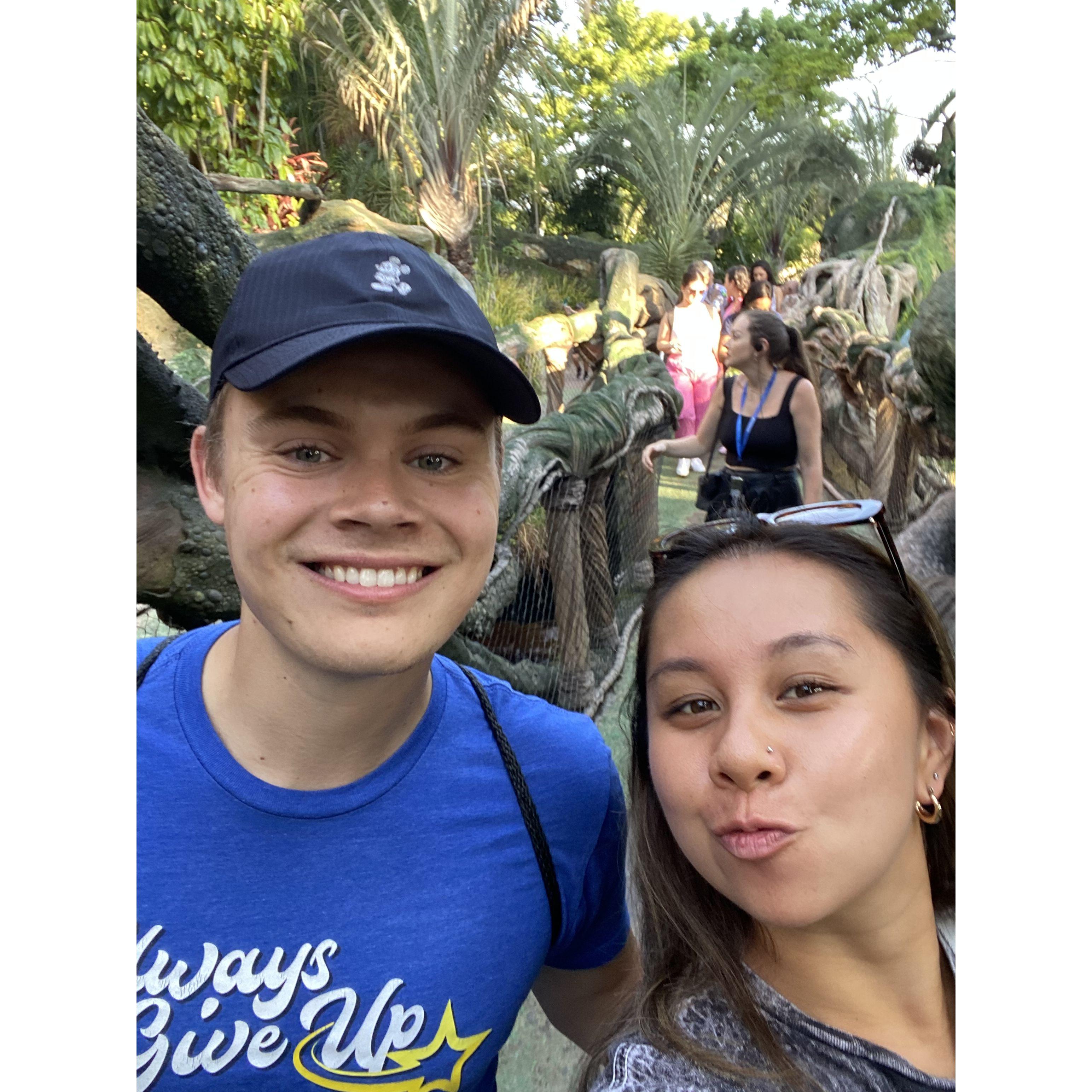 Animal Kingdom!