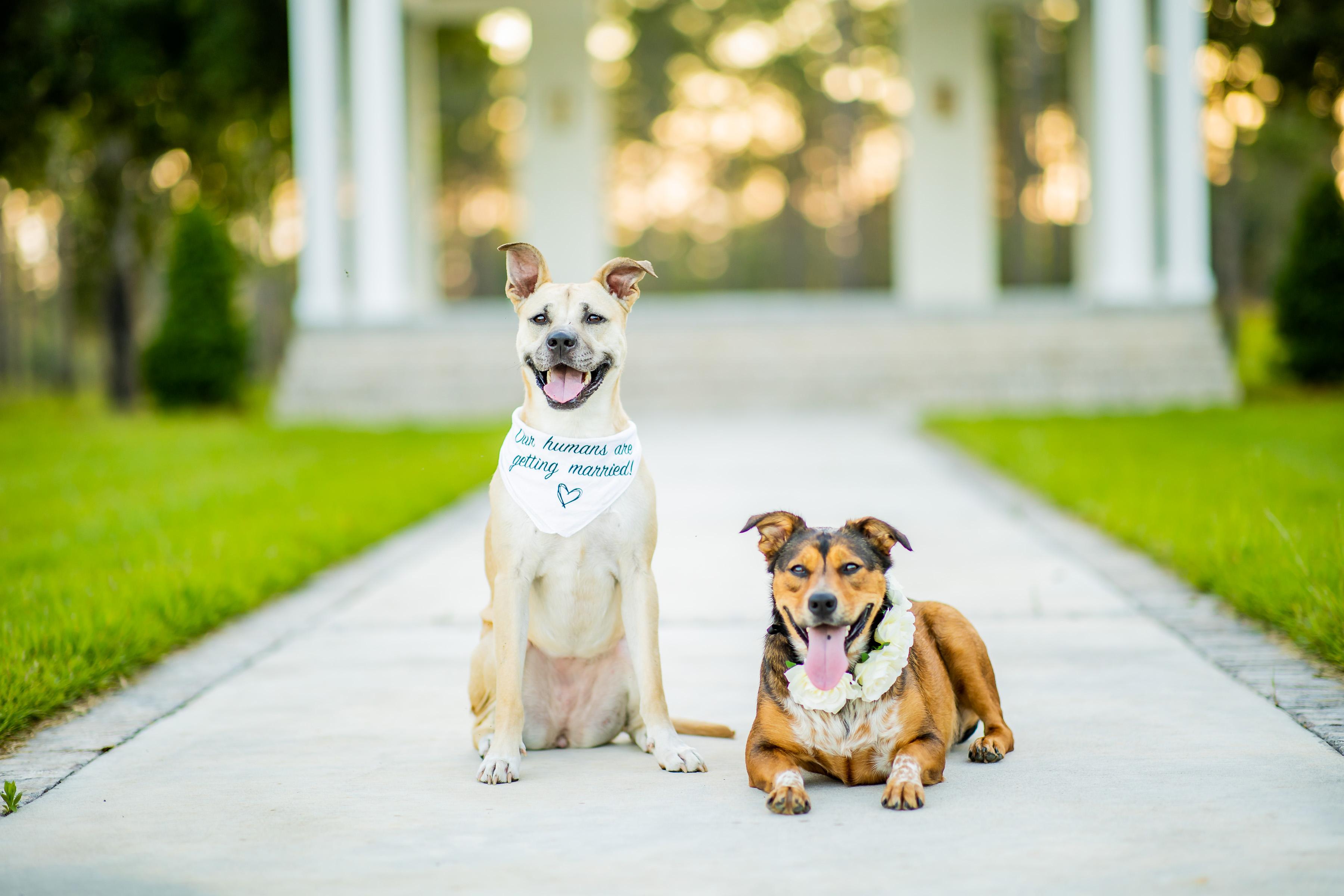 The Wedding Website of Jada Quaranta and Tyler Beverly