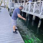 15th Street Fisheries