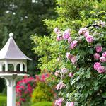 Cleveland Botanical Garden
